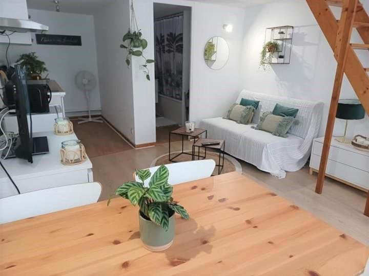 Duplex A La Gare Du Mans Bed and Breakfast Le Mans Buitenkant foto